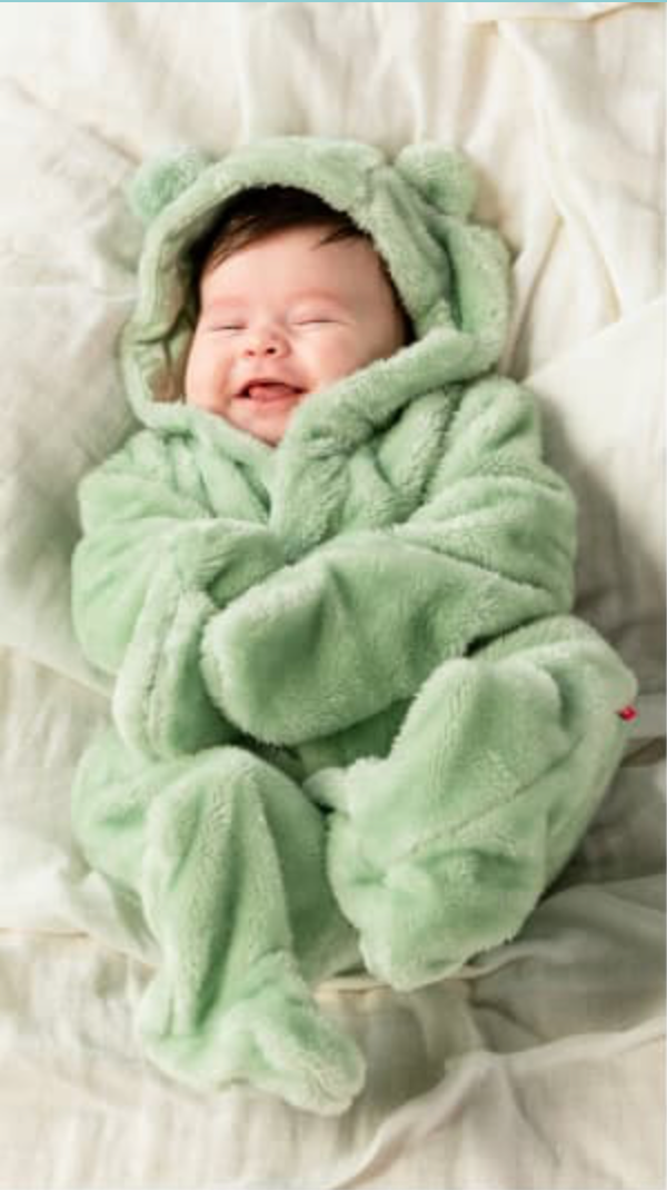 Soft Spruce Minky Magnetic Pram